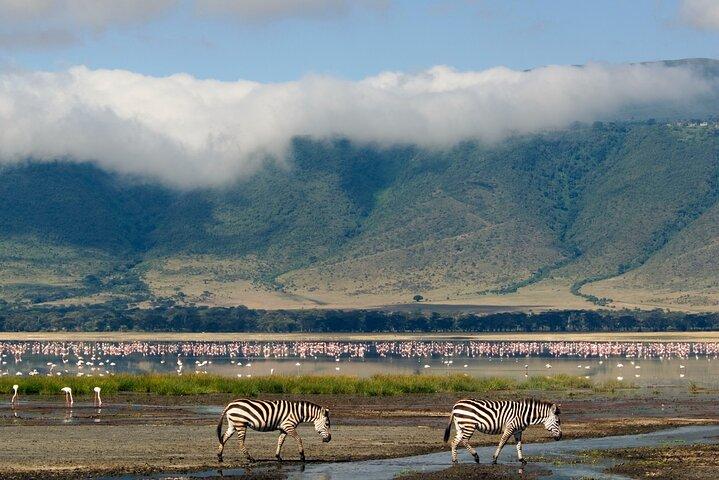5 Days Adventure Safari Private Tour In Ngorongoro and Serengeti
