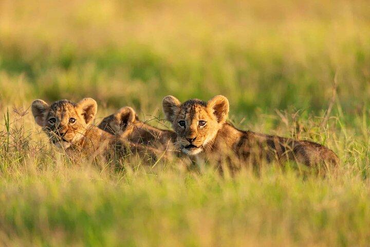 Two Days Amboseli National Park Safari