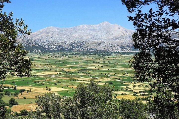 Lassithi Plateau & Knossos Palace! Tour from Heraklion