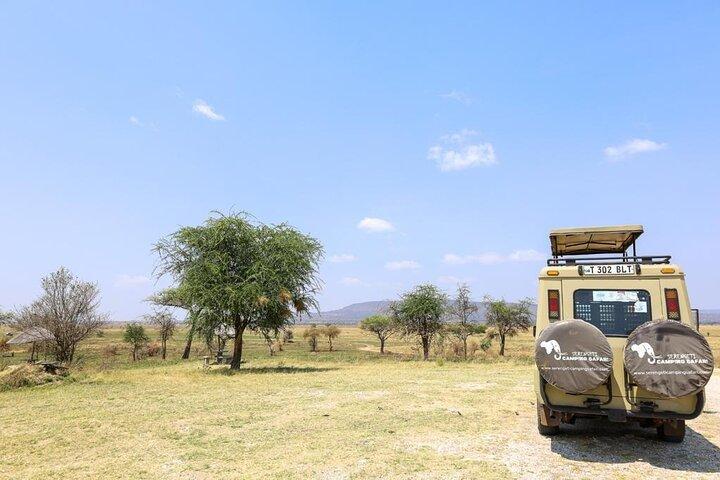 12 Days: Mt. Kilimanjaro and Safari