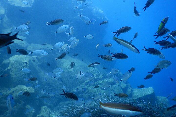 Discover Scuba Diving in Santorini