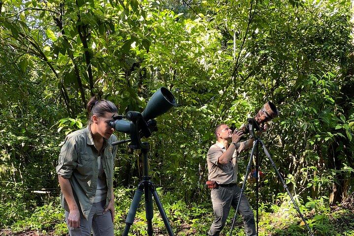 Esquipulas Rainforest - Private Birding - Fully Customizable Tour