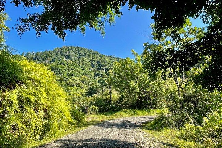 Esquipulas Rainforest - Private Birding - Fully Customizable Tour