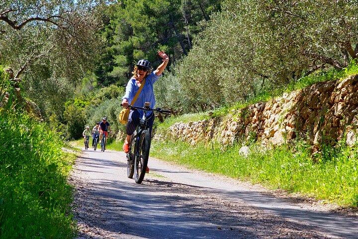 Private Hvar Self-Guided E-Bike Rental
