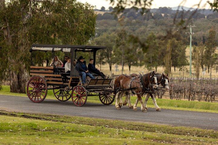3- Hour Wine and Harvest the Hunter Horse Tour in Pokolbin