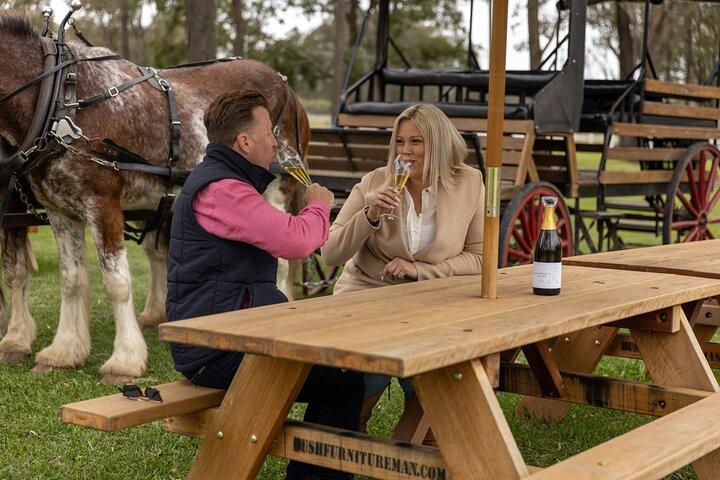 3- Hour Wine and Harvest the Hunter Horse Tour in Pokolbin