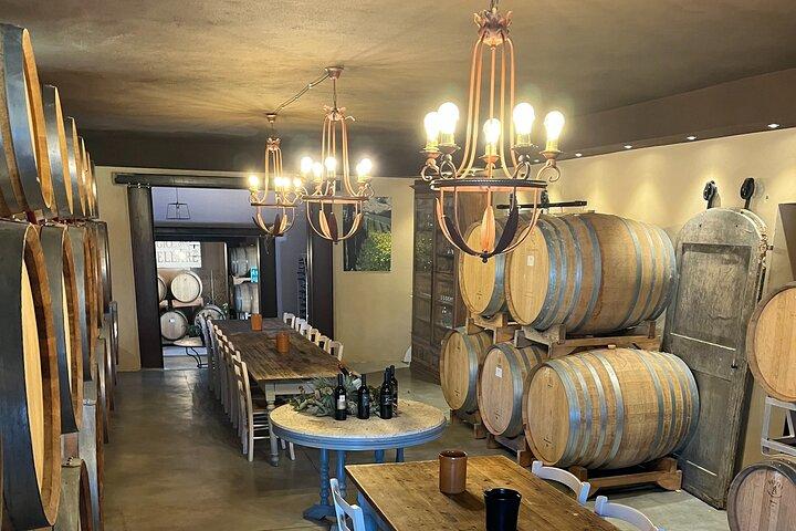 Discover Brunello Wines