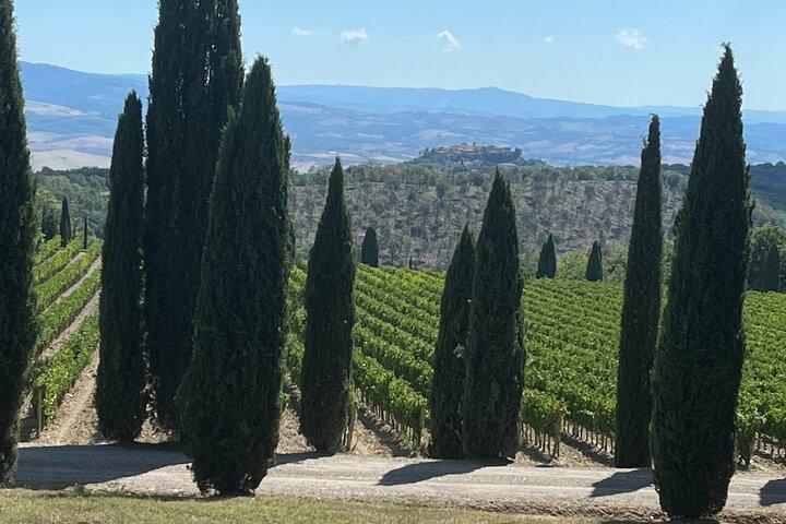 Discover Brunello Wines