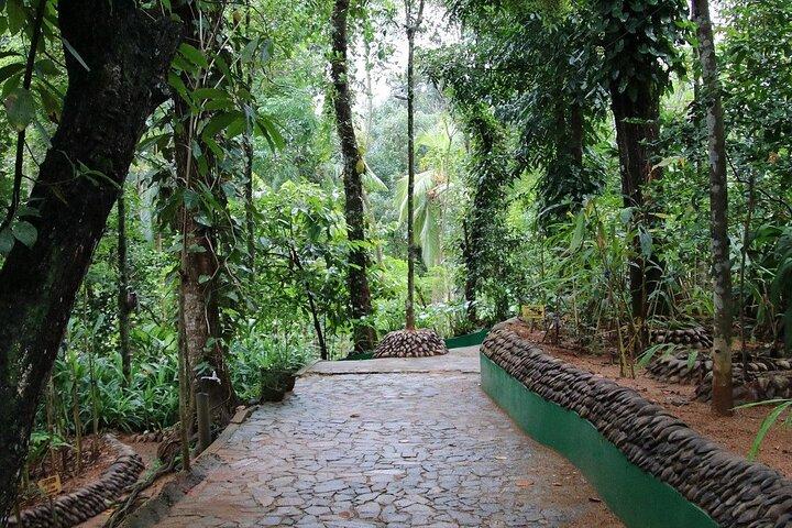 Private Kandy Day Tour from Colombo