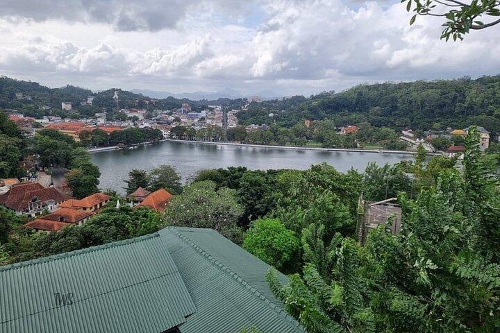 Private Kandy Day Tour from Colombo