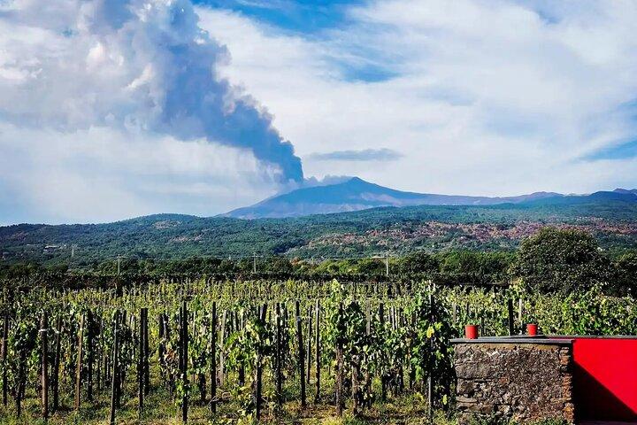 Etna excursion and wine tasting with Sicilian lunch