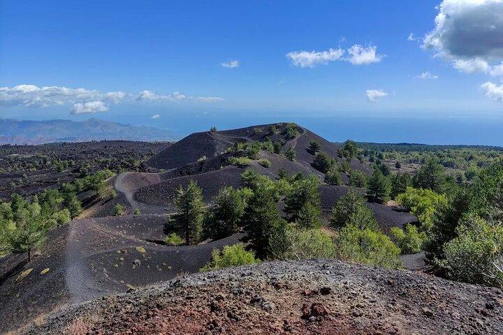 Etna excursion and wine tasting with Sicilian lunch