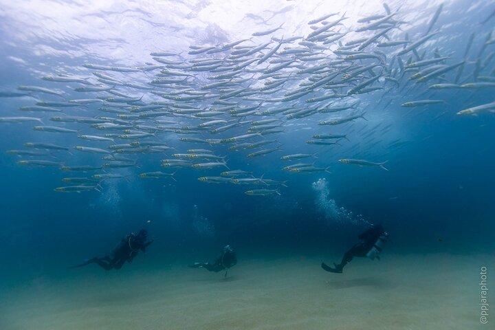 Private Beginner Scuba Diving Experience in Cabo San Lucas