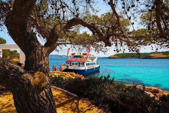 Ibiza Beach Hopping Cruise with Paddleboards, Drinks and Food 6h