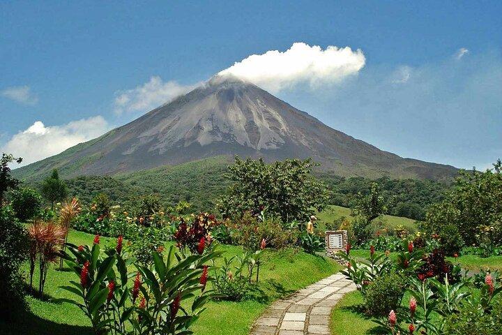 Private Tour Mistico Park Arenal Volcano + Baldi Hot Springs
