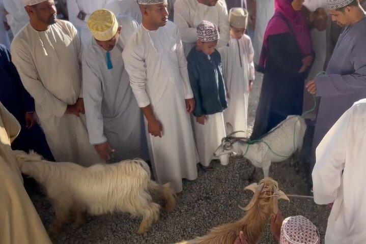 Private Friday Cattle Market-Nizwa and Jebel Akhdar-Full-Day Tour