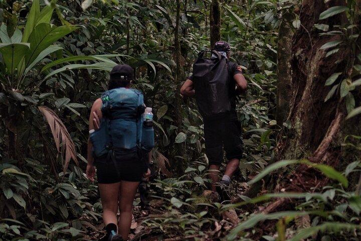 Full-Day Adventure in Corcovado National Park from Drake Bay