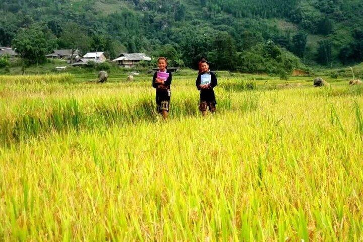 Private Tour in the Tribal Villages of Vietnam