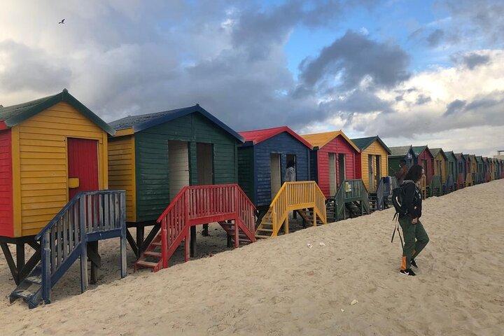 Table Mountain, Cape Point & Penguins Private ,From Cape Town