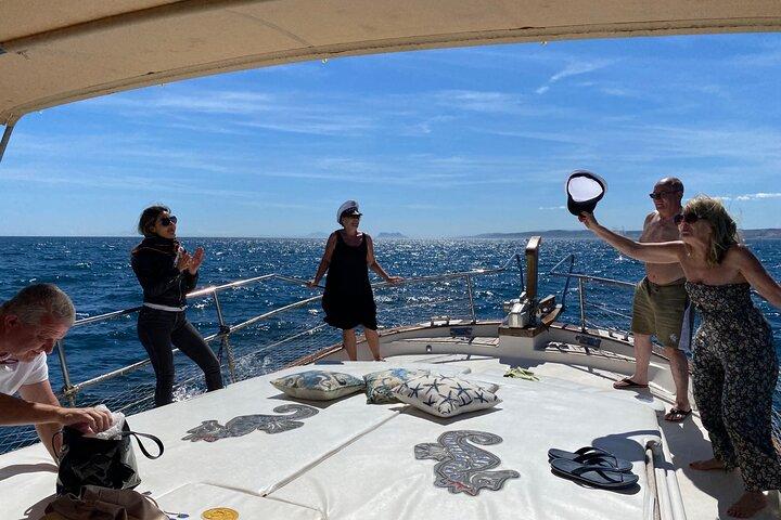 Estepona Boat Cruise: Dolphin Search, Swim, Drinks & Snacks