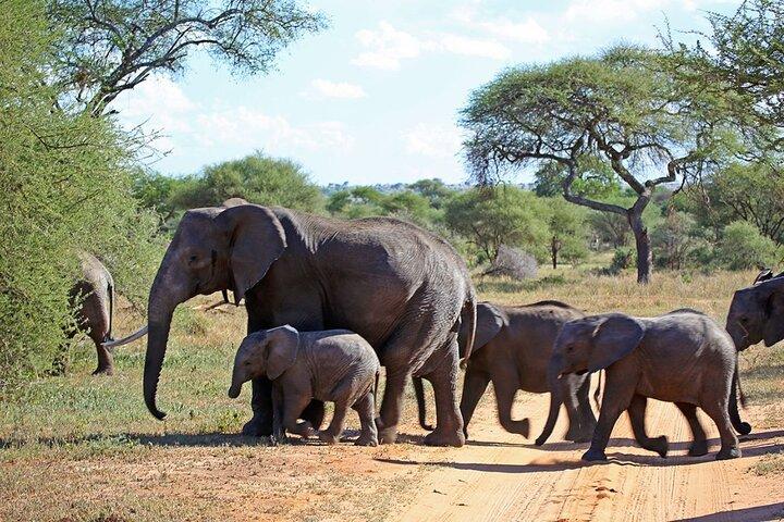 5 Day Garden Route Small Group Tour From CapeTown