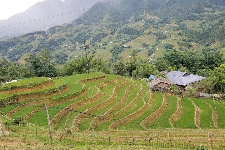 Sapa Easy Trekking Tour 1 Day Rice Paddies and Cultures