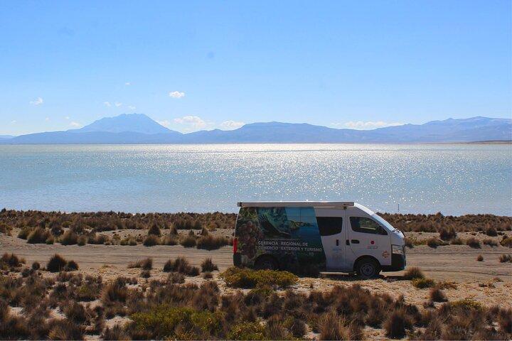 Salinas and Aguada Blanca Reserve Tour from Arequipa