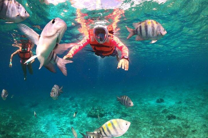 Official Chankanaab Park Admission and Snorkeling with Lunch