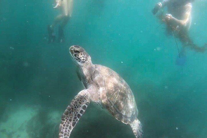 Two Hour Kayak and Snorkel Tour for Two in La Jolla
