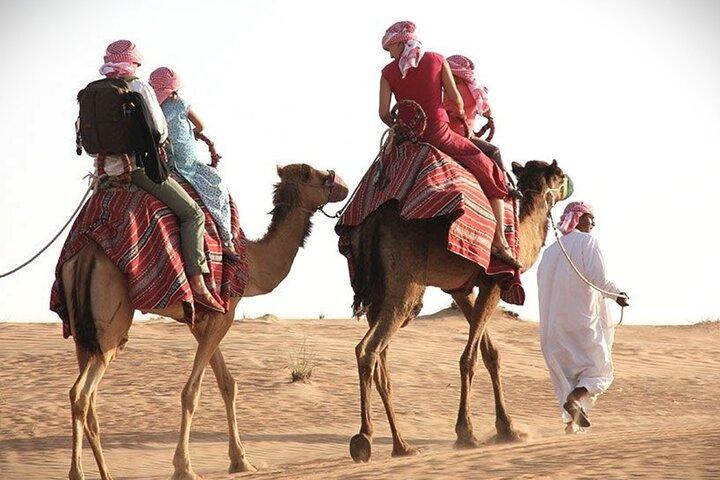 Qatar Sunset Desert Safari: Dune Bashing & Golden Sands Adventure