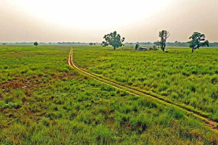 3 Nights 4 Days Chitwan National Park with Tower Night Stay