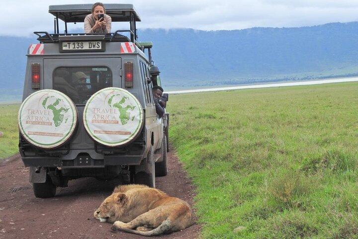 Full-Day Trip to Ngorongoro Crater from Arusha Town