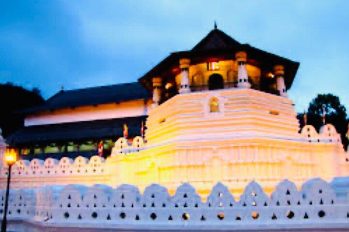 Kandy Private Day Tour from Colombo & Negombo