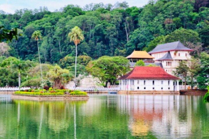 Kandy Private Day Tour from Colombo & Negombo