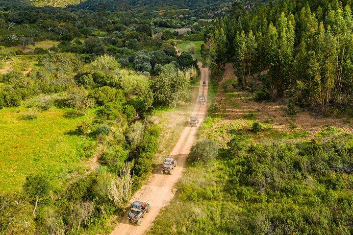 Albufeira: 3-Hour Off-Road Buggy Tour to Hidden Algarve Trails