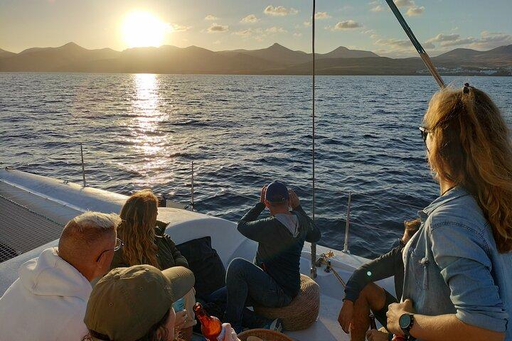 Small Group Dolphin Sunset Tour on Electric Catamaran Lanzarote