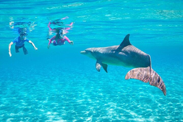 Dolphin House Snorkeling Sea Trip Ultimate Adventure - Hurghada