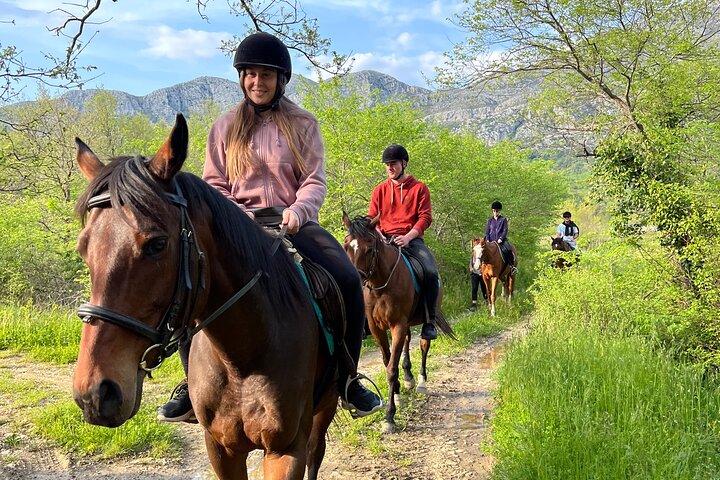 Horseback Riding Experience with transport from Dubrovnik