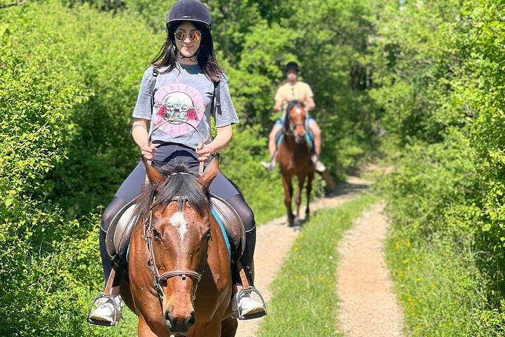 Horseback Riding Experience with transport from Dubrovnik