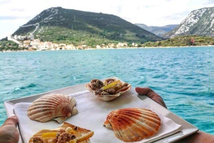 Wine and Food Daily Tour