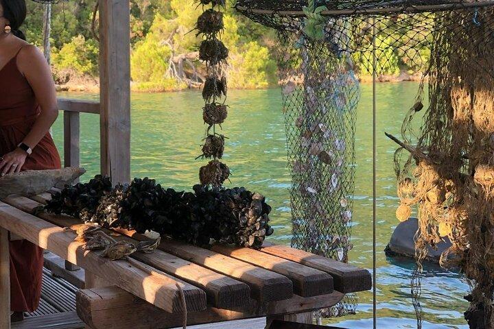 Wine and Food Daily Tour