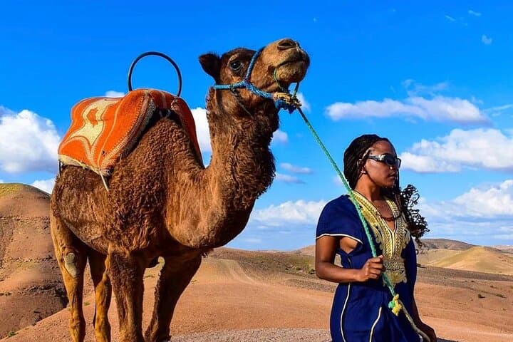 Atlas Mountain Zip Line And waterfalls berber villages with camel