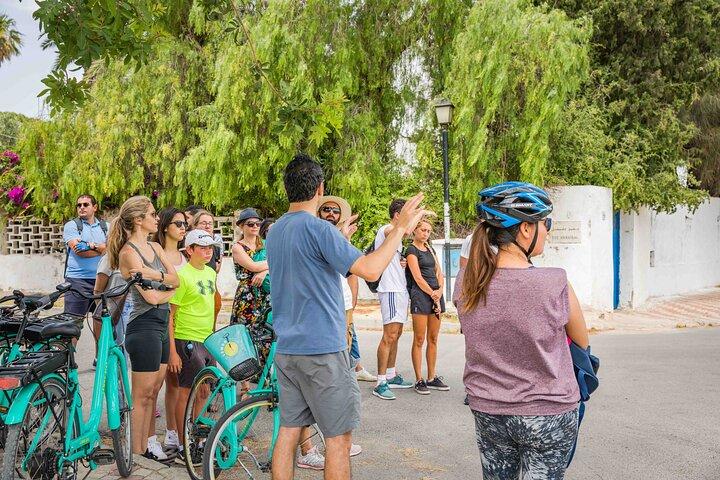 Group Guided Bike Tour of Carthage Archeological Site in Tunisia