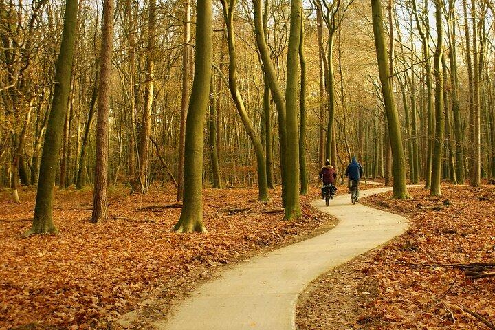 Kröller Müller Museum( Van Gogh Special) & Veluwe National Park