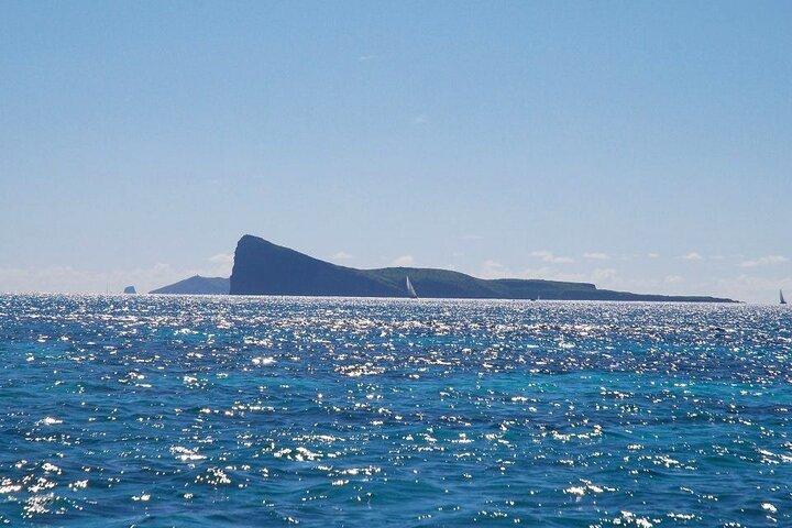 3 North Islands Catamaran Cruise with Lunch & Drinks on island.