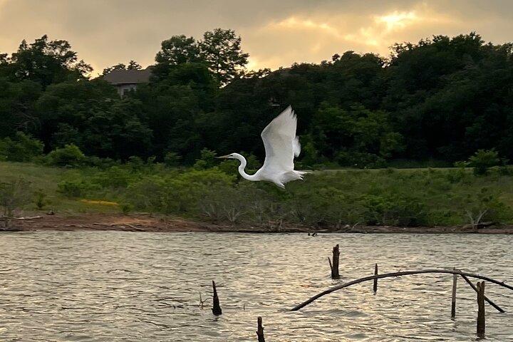 Sunset and Glow Guided Kayaking Tour Grapevine Lake