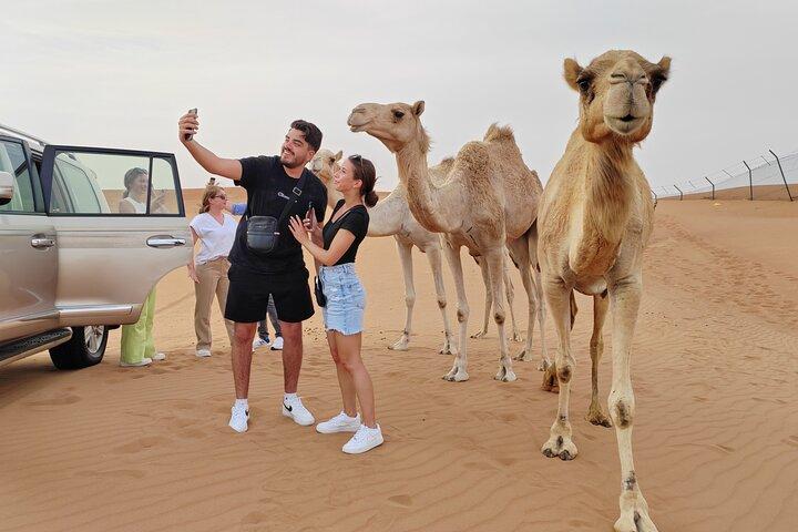Private Morning Desert Safari Tour in Lehbab,Dubai