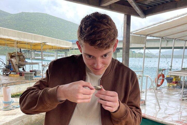 Oysters testing private tour to Ston