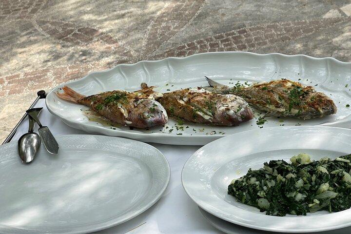 Oysters testing private tour to Ston