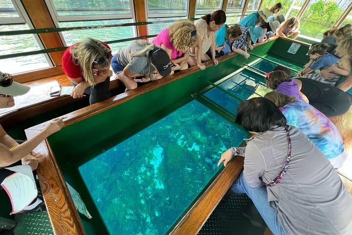 Silver Springs Manatee Kayak, Glass Boat Small Group Max 14 Tour